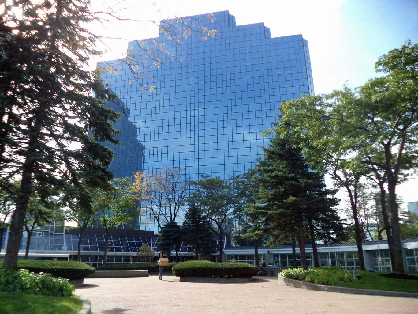 Intelligent - 100 Consilium